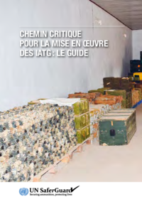 Chemin Critique Pour La Mise En Oeuvre Des IATG: Le Guide