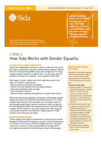 How Sida Works With Gender Equality 