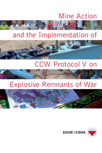 Mine Action and the Implementation of CCW Protocol V on Explosive Remnants