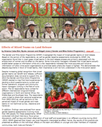 Effects of Mixed Teams on Land Release