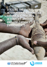 Utilizing the IATG in Conflict-Affected and Low-Capacity Environments 